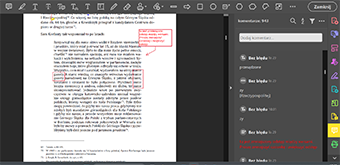 Jak wygląda korekta tekstów - przykład 1